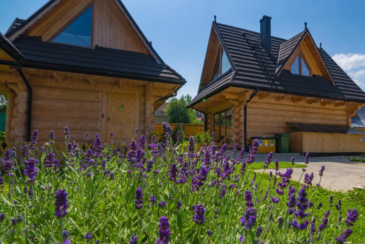 Villa Goralska Kraina Zakopane Esterno foto